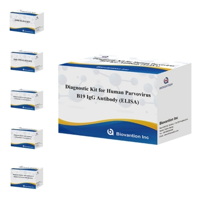 Kit de ensaio de ELISA B19 para o parvovírus humano B19 IgM Kit de ensaio de anticorpos Elisa com 96T