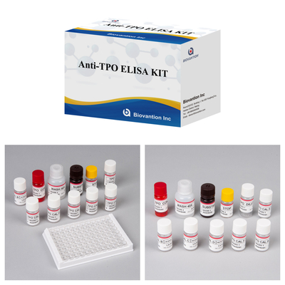 Kit de diagnóstico para humanosAnti-TPO para hospital e laboratório com 96 testes