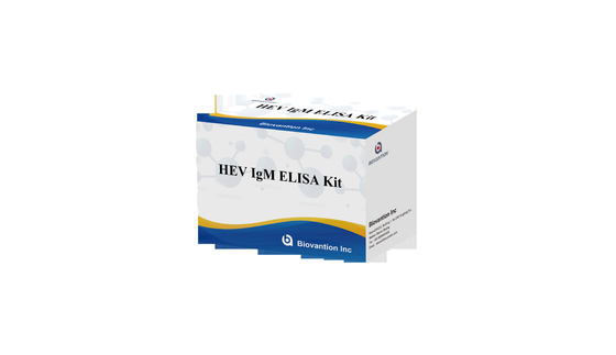 Laboratório ou Hospital IgG Anticorpo Para Hepatite E Virus HEV Elisa Test Kit