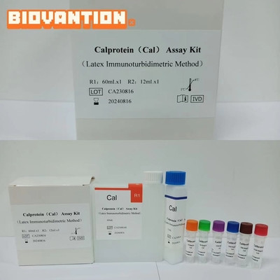 Determinação quantitativa da cal proteção cal nas fezes 2-8.C Armazenamento IVD