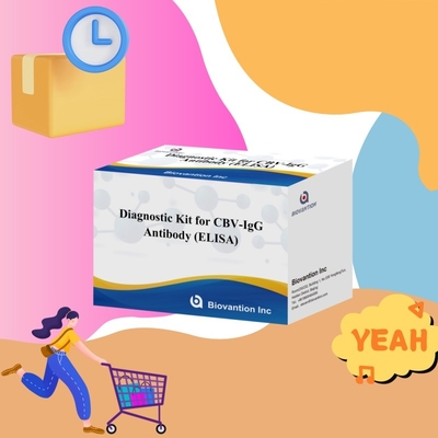 Anticorpos altamente específicos do CBV-IgG humanos detecção Kit Elisa para detecção precisa de análises alvo