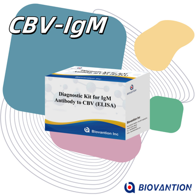 CBV igm ELISA KIT D reagente de diagnóstico 18 meses Prazo de validade Enzima-linked Immunosorbent Assay Test