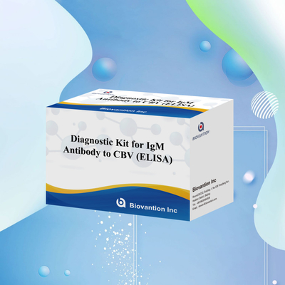 CBV igm ELISA KIT D reagente de diagnóstico 18 meses Prazo de validade Enzima-linked Immunosorbent Assay Test