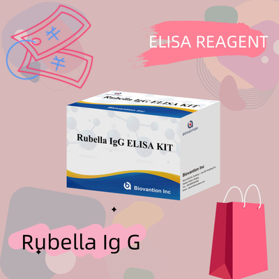 Rubéola- Igg Enzima Reagentes de Imunoanálise Elisa Kit de Teste para Detecção de Rubéola
