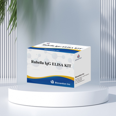 Rubéola- Igg Enzima Reagentes de Imunoanálise Elisa Kit de Teste para Detecção de Rubéola