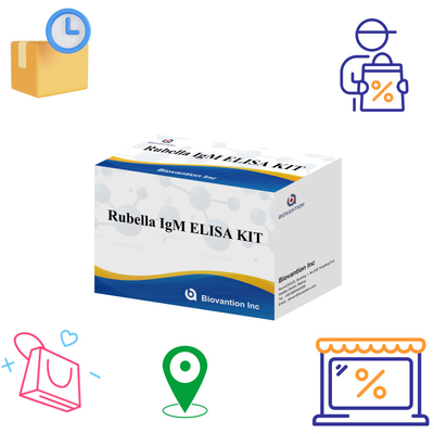 Kit de ensaio Elisa para a rubéola Ferramenta de detecção de IgM para os anticorpos IgG da rubéola em uso humano