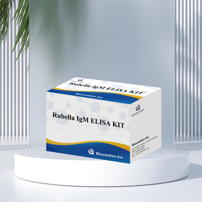 Kit de ensaio Elisa para a rubéola Ferramenta de detecção de IgM para os anticorpos IgG da rubéola em uso humano