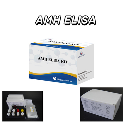 Hormônio anti- mulleriano AMH Kit de ensaio Elisa Para uso humano com plasma sérico