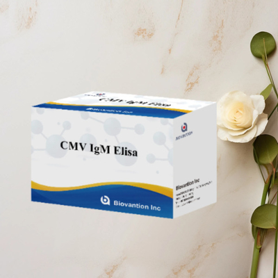 CMV IgM ELISA Kit Alta precisão Mulheres grávidas Teste preventivo