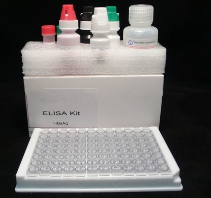 Kit de teste Elisa para detecção precisa no diagnóstico de HBsAg de alta sensibilidade