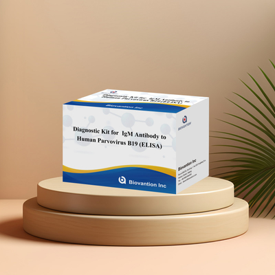 Kit de diagnóstico para uso humano para o parvovírus humano B19 IgM Kit de teste de anticorpos Elisa com 96T
