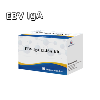 EBV HUMAN ELISA Test Kit 2-8°C Sensitividade Kit de Diagnóstico para IgA Anticorpo contra EBV-EA