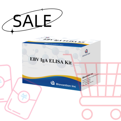 EBV HUMAN ELISA Test Kit 2-8°C Sensitividade Kit de Diagnóstico para IgA Anticorpo contra EBV-EA