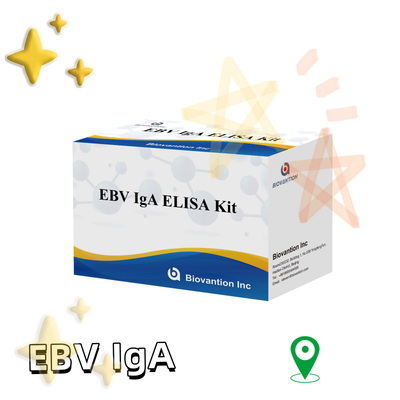EBV HUMAN ELISA Test Kit 2-8°C Sensitividade Kit de Diagnóstico para IgA Anticorpo contra EBV-EA
