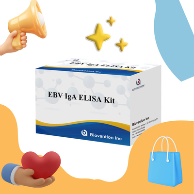 EBV HUMAN ELISA Test Kit 2-8°C Sensitividade Kit de Diagnóstico para IgA Anticorpo contra EBV-EA