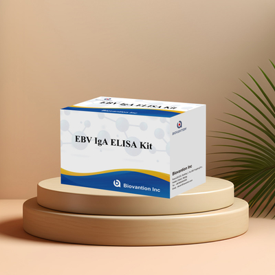 EBV HUMAN ELISA Test Kit 2-8°C Sensitividade Kit de Diagnóstico para IgA Anticorpo contra EBV-EA