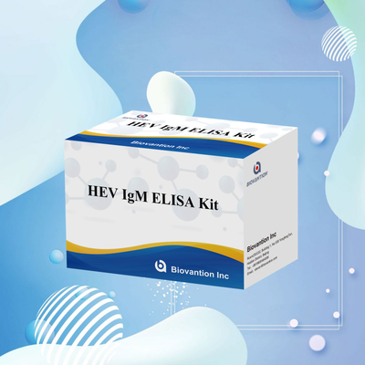 Kit de ensaio Elisa HEV-IgM preciso e sensível para detecção e análise precisas