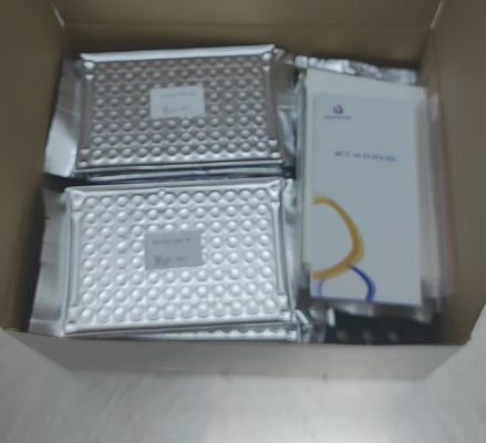Anticorpos anti-HCV contra o vírus da hepatite C ligados à enzima Tempo de transporte curto