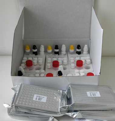 Kit de ensaio Elisa de alta precisão H. pylori IgG para laboratório ou hospital