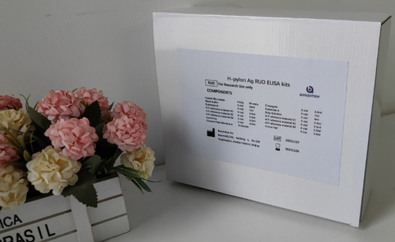 Kit de ensaio Elisa de alta precisão H. pylori IgG para laboratório ou hospital
