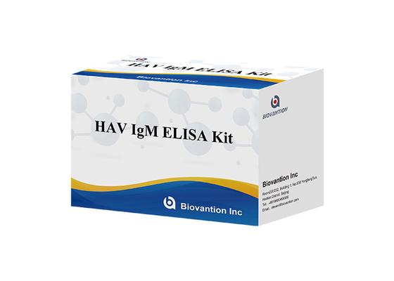 Anticorpos para a Hepatite A Virus HAV IgM In Vitro Enzima Imunoassay Sério / Plasma