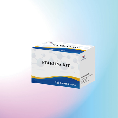 Kit de ensaio FT4 Elisa preciso para análise quantitativa e qualitativa