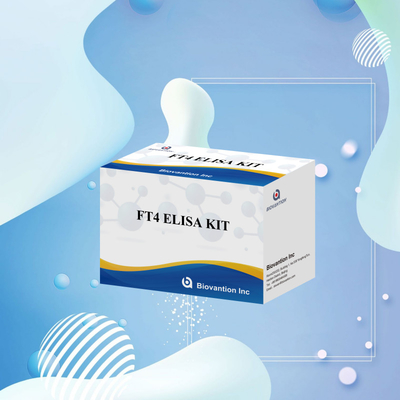 Kit de ensaio FT4 Elisa preciso para análise quantitativa e qualitativa