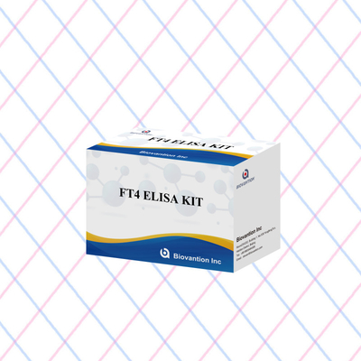 Kit de ensaio FT4 Elisa preciso para análise quantitativa e qualitativa
