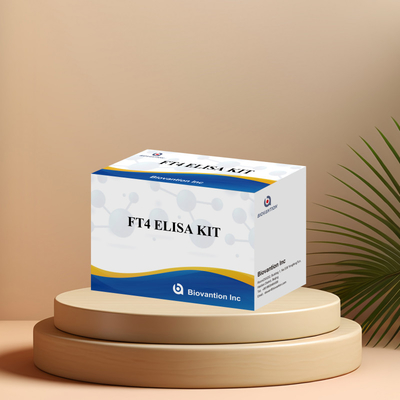 Kit de ensaio FT4 Elisa preciso para análise quantitativa e qualitativa