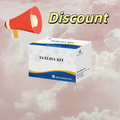 T4 Triiodotironina Kit de Teste Elisa Teste de Hormônios Tireoidianos comumente utilizado