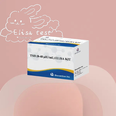 Kit de determinação quantitativa de TSH Elisa reagente soro estimulante da tireóide