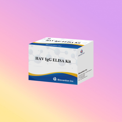 Alta sensibilidade HAV IgG ELISA Kit Precisão de detecção de vírus de hepatite A Confiável Certificado CE para uso clínico e de pesquisa