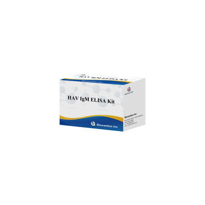 HAV IgM ELISA Kit Alta sensibilidade Hepatite A Detecção de vírus Teste de diagnóstico confiável e preciso para laboratórios clínicos