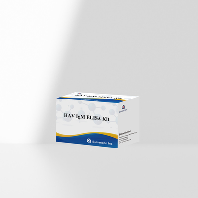 HAV IgM ELISA Kit Alta sensibilidade Hepatite A Detecção de vírus Teste de diagnóstico confiável e preciso para laboratórios clínicos