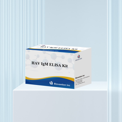 HAV IgM ELISA Kit Alta sensibilidade Hepatite A Detecção de vírus Teste de diagnóstico confiável e preciso para laboratórios clínicos