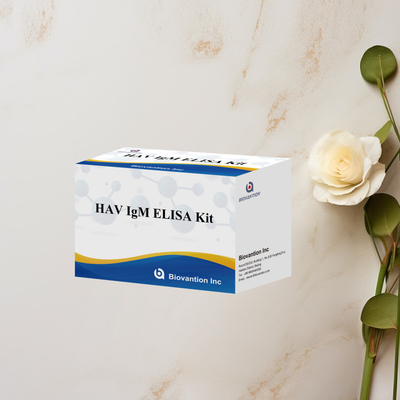 HAV IgM ELISA Kit Alta sensibilidade Hepatite A Detecção de vírus Teste de diagnóstico confiável e preciso para laboratórios clínicos