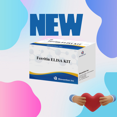 Biovanção Kit de teste de alta sensibilidade de ferritina Elisa Detecção quantitativa para diagnóstico clínico e pesquisa Uso de amostras de plasma do soro humano