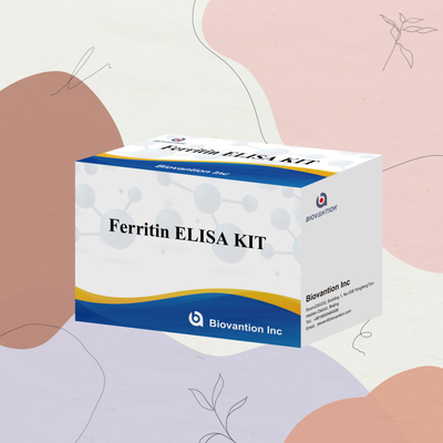 Biovanção Kit de teste de alta sensibilidade de ferritina Elisa Detecção quantitativa para diagnóstico clínico e pesquisa Uso de amostras de plasma do soro humano