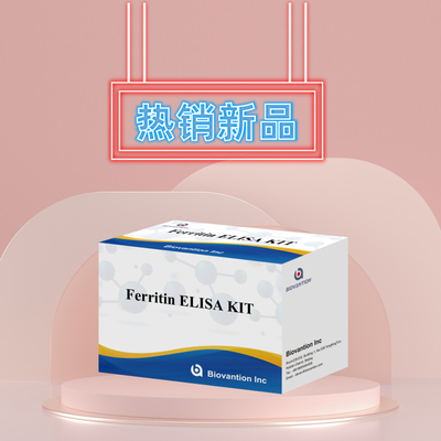 Biovanção Kit de teste de alta sensibilidade de ferritina Elisa Detecção quantitativa para diagnóstico clínico e pesquisa Uso de amostras de plasma do soro humano