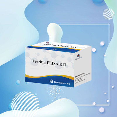 Biovanção Kit de teste de alta sensibilidade de ferritina Elisa Detecção quantitativa para diagnóstico clínico e pesquisa Uso de amostras de plasma do soro humano