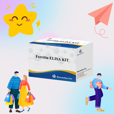 Biovanção Kit de teste de alta sensibilidade de ferritina Elisa Detecção quantitativa para diagnóstico clínico e pesquisa Uso de amostras de plasma do soro humano