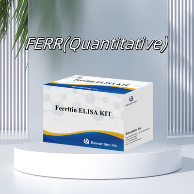 Biovanção Kit de teste de alta sensibilidade de ferritina Elisa Detecção quantitativa para diagnóstico clínico e pesquisa Uso de amostras de plasma do soro humano