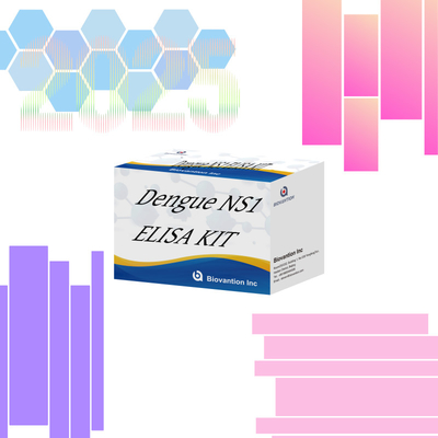 KIT ELISA de dengue Ns1 com 18 meses de validade para diagnóstico humano