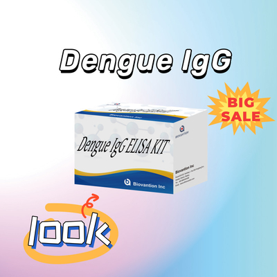 Kit de testes Elisa IgG de alto desempenho para dengue para resultados sensíveis e específicos
