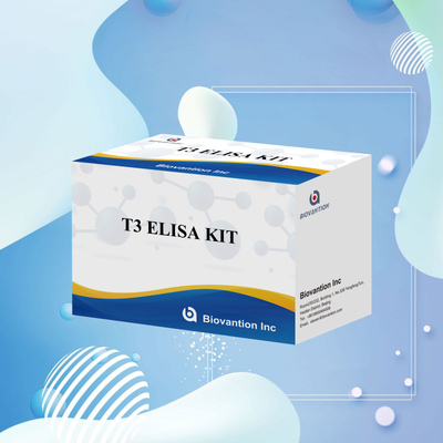 T3 Enzima ligada Imunossorbente Test T3 ELISA Kit