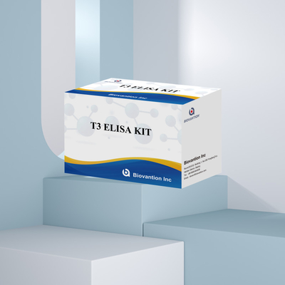 T3 Enzima ligada Imunossorbente Test T3 ELISA Kit