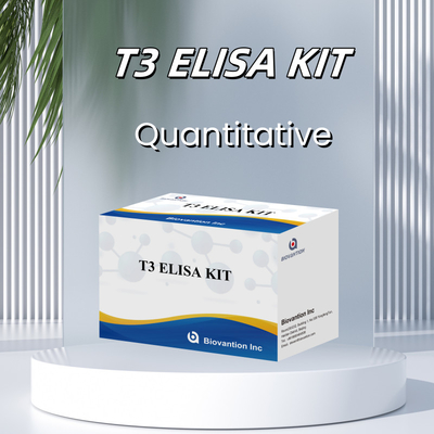 T3 Enzima ligada Imunossorbente Test T3 ELISA Kit