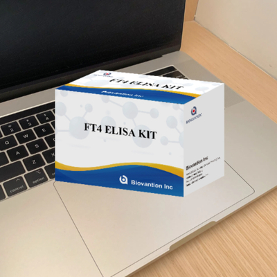 Para Kit de Teste Elisa de Tiroxina Livre FT4 de Alta Precisão para Laboratório ou Hospital