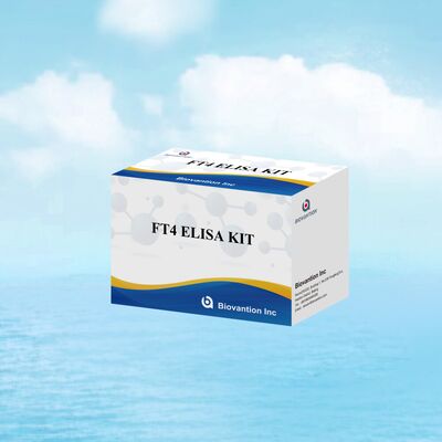 Kit de teste Elisa FT4 preciso com 98% de especificidade e 95% de sensibilidade para distúrbios da tireoide (96 testes)