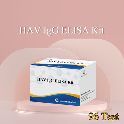Kit ELISA HAV IgG de alta sensibilidade (0,2 ng/mL) Certificado CE para detecção precisa do vírus da hepatite A em 96 testes